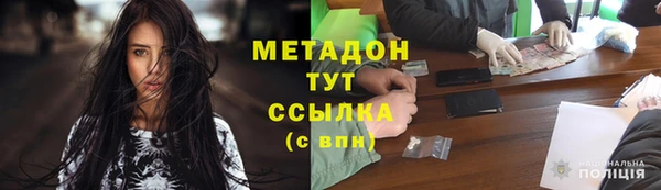 индика Арсеньев