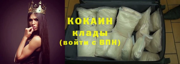 индика Арсеньев