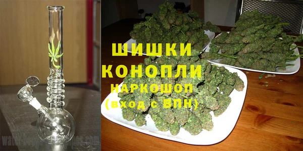 индика Арсеньев
