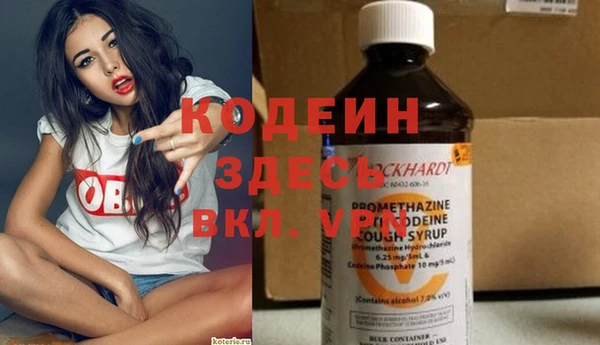 индика Арсеньев