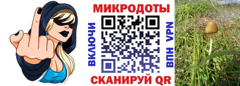 продажа наркотиков Туринск Галлюциногенные грибы GOLDEN TEACHER